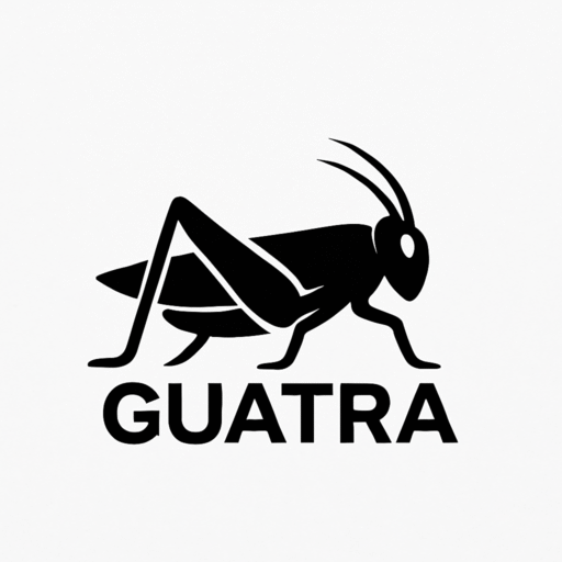 chatgpt image 3 août 2025, 17 00 01